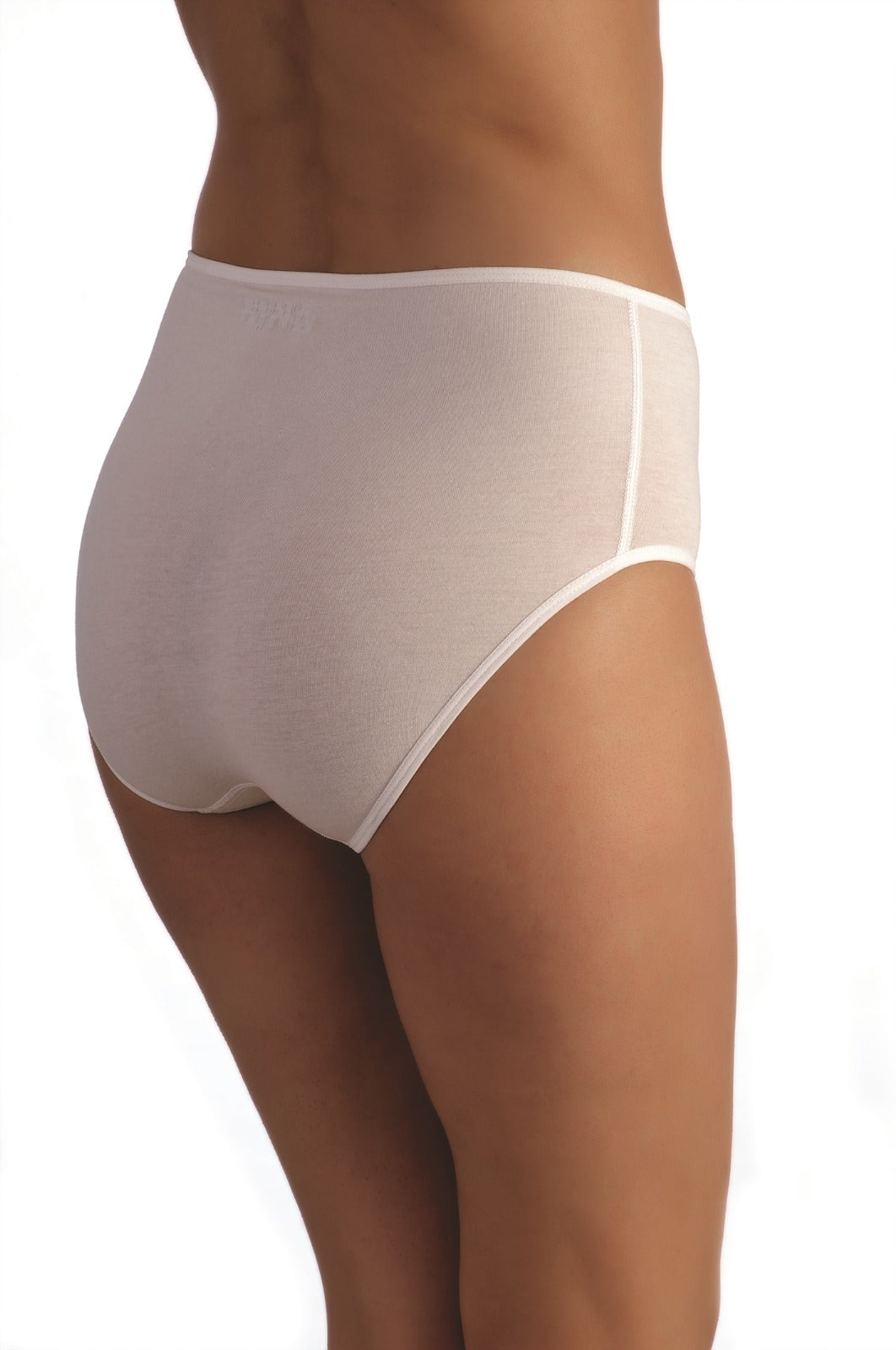 High Waisted Panty by Rayes Lingerie - 2112N