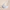 BraModa Full Coverage Bra - EMA