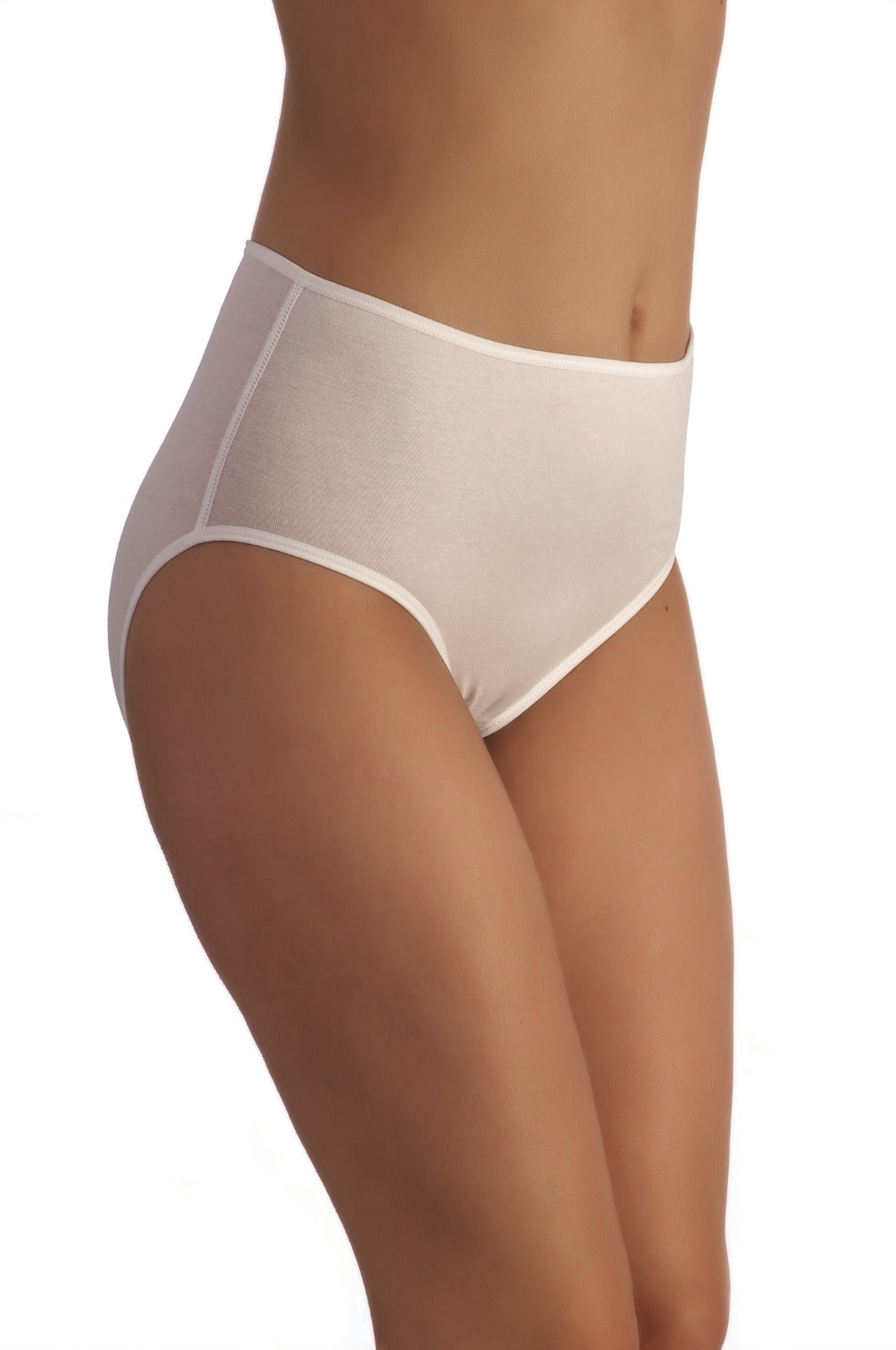 High Waisted Panty by Rayes Lingerie - 2112N
